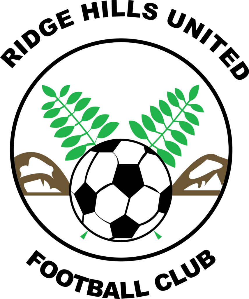 Ridge Hills United Performance Sock Black | Veto Sports